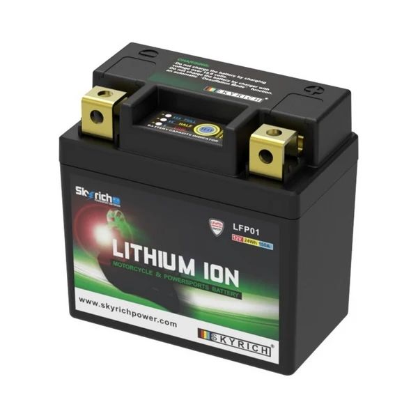 Batería de litio SKYRICH - LFP01