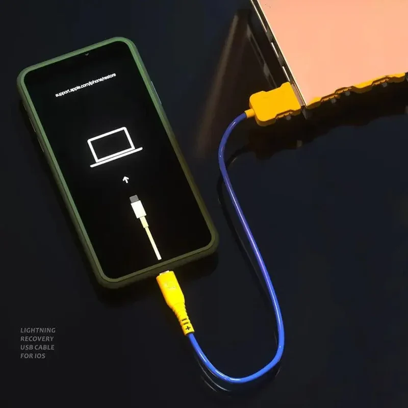 Cable USB de recuperación iData Lightning para iOS