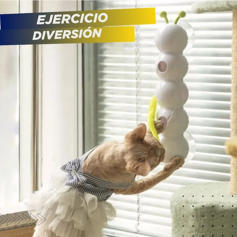 IMPORTADO: Juguete automático Oruga para gato 🐛FUNNYCat 😸 (Batería recargable USB integrada)