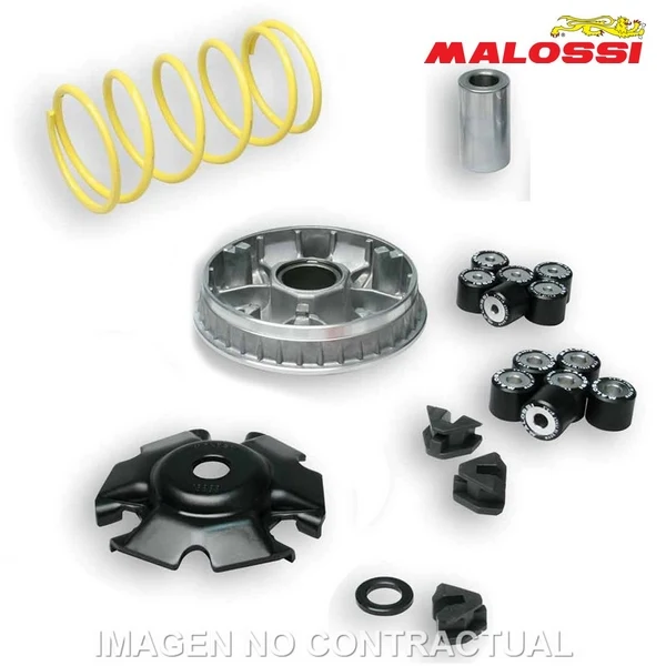 Variador MALOSSI MULTIVAR 2000