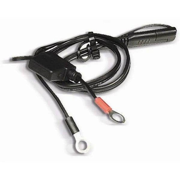 Cable de conexión permanente con fusible BS BATTERY PA-01